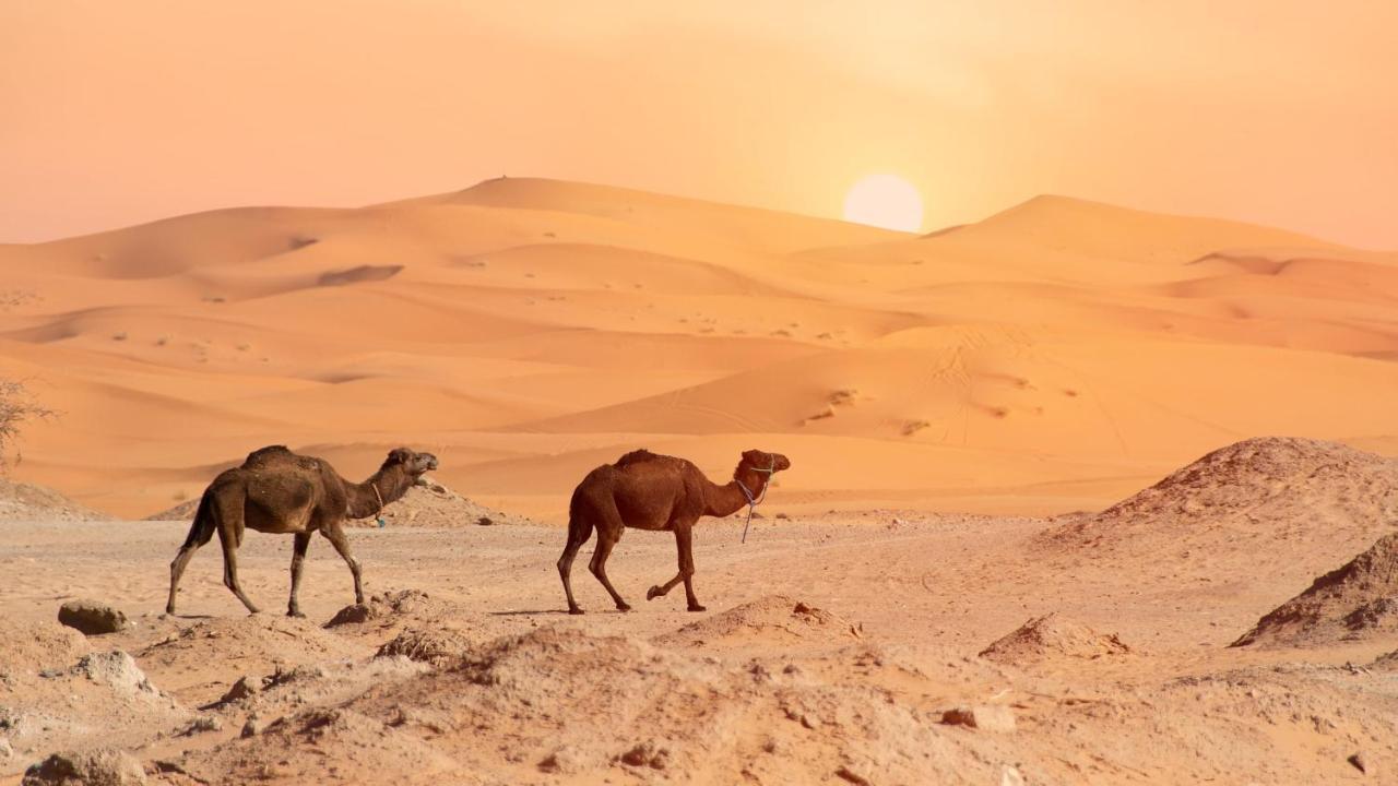 Hotel Oasis Luxury Camp Merzouga Exteriér fotografie